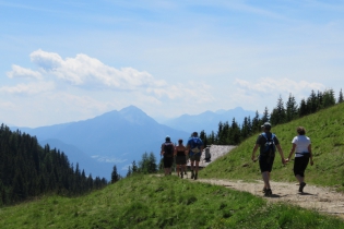 Alpenrosentour auf Meran 2000