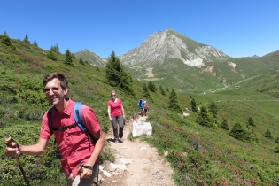 Alpenrosentour auf Meran 2000