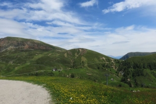 Alpenrosenwanderung auf Meran 2000