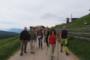 Alpenrosenwanderung auf Meran 2000