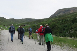 Alpenrosenwanderung auf Meran 2000