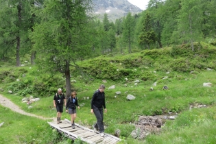 Alpenrosenwanderung im Ultental