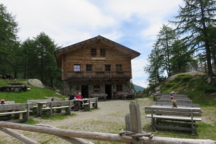 Alpenrosenwanderung im Ultental