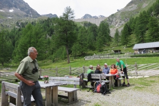 Alpenrosenwanderung im Ultental