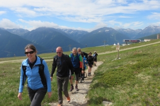 Alpenrosenwanderung im Ultental