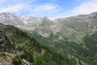 Alpenrosenwanderung im Ultental