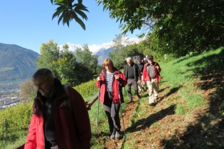 Apfel- und Kastanienwanderung