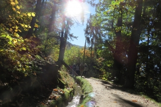 Apfel- und Kastanienwanderung