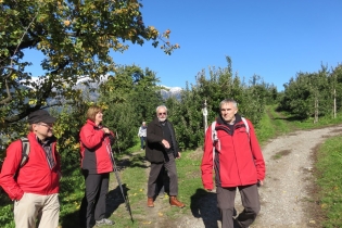 Apfel- und Kastanienwanderung