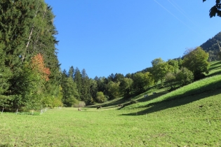 Apfel- und Kastanienwanderung