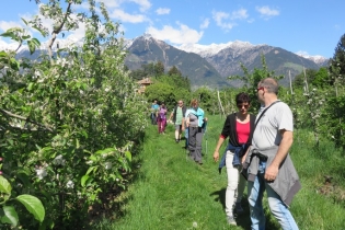 Blütenwanderung