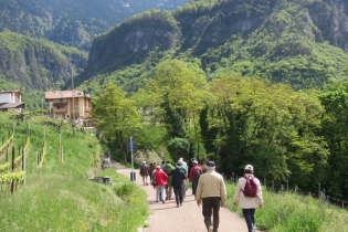 Dolomiten-Bustour mit Frühlingswanderung