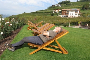 Frühherbstwanderung durch die Weinberge