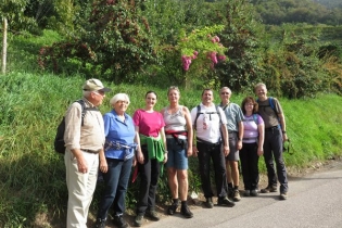 Frühherbstwanderung durch die Weinberge