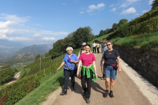 Frühherbstwanderung durch die Weinberge