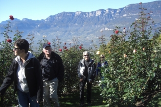 Goldener Oktoberwanderung