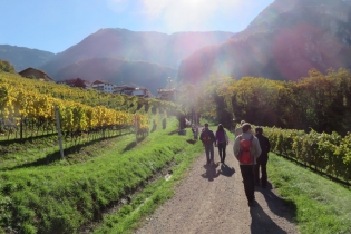 Goldener Oktoberwanderung