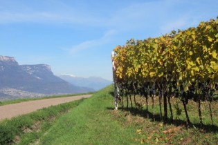 Goldener Oktoberwanderung