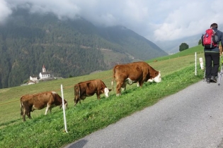 Herbstliche Wanderung am Meraner Höhenweg