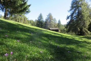 Herbstwanderung auf dem Salten