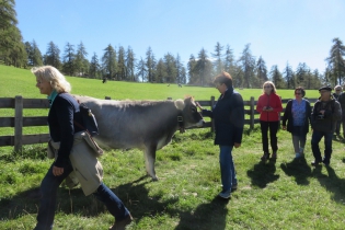 Herbstwanderung auf dem Salten