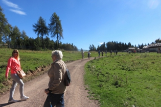 Herbstwanderung auf dem Salten