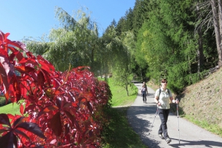 Höfewanderung im Ultental