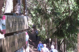 Höfewanderung im Ultental