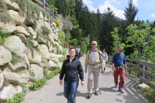 Höfeweg im Frühling