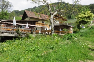 Höfeweg im Frühling