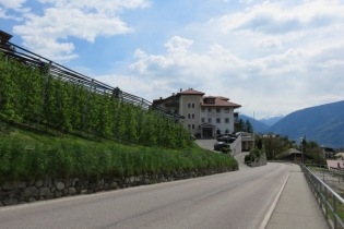 Höfeweg im Frühling