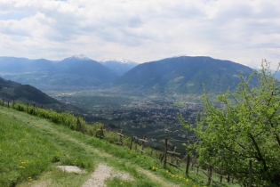 Höfeweg im Frühling