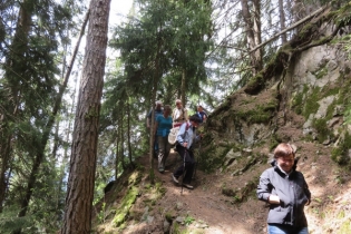 Höfeweg im Frühling