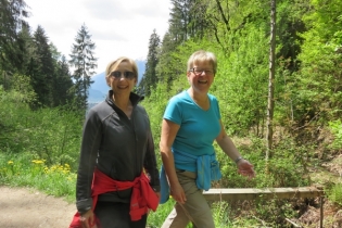 Höfeweg im Frühling