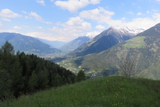 Höfeweg im Frühling