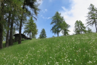 Langfenn-Wanderung