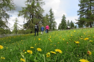 Langfenn-Wanderung