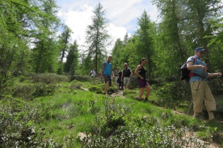 Sommerwanderung im Schnalstal