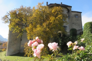 Sonnenscheinwanderung im Herbst