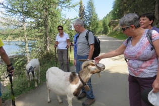 Spätsommerwanderung