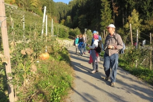 Taser Höhenweg mit Musik