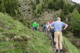 Wanderung zu den Videgger Assen