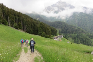 Wanderung zu den Videgger Assen