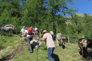 Zwei Gipfel-Tour auf die Laugenspitzen